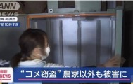 米太贵！日本人在米袋里放GPS防偷