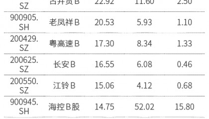 在小小的B股里挖宝