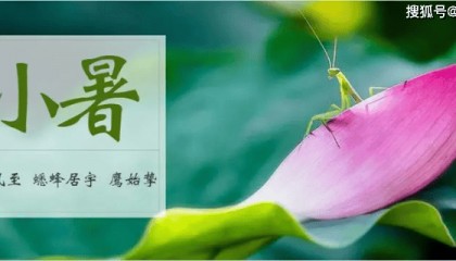 小暑大暑上蒸下煮是什么意思，小暑大暑是什么意思