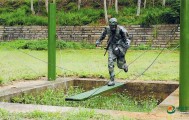 从操场通往战场，组训模式之变带来训练场新景观