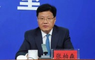 中央巡视组进驻后，张柏森被查