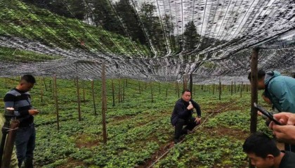 六盘水市2023年高素质农民培育后续跟踪服务（中药材种植培训会）在钟山区大河镇召开