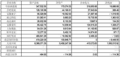 证券代码：002074 证券简称：国轩高科 公告编号：2024-019