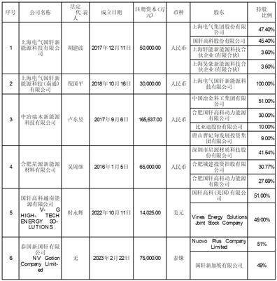 证券代码：002074 证券简称：国轩高科 公告编号：2024-019