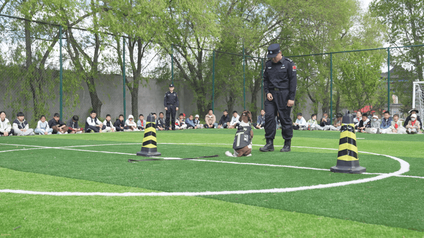 同江：美丽家乡行 多彩研学游