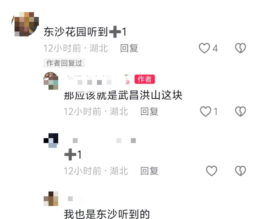 武汉多地网友称凌晨听到巨响，亲历者：听着明显像从地面发出，多方回应